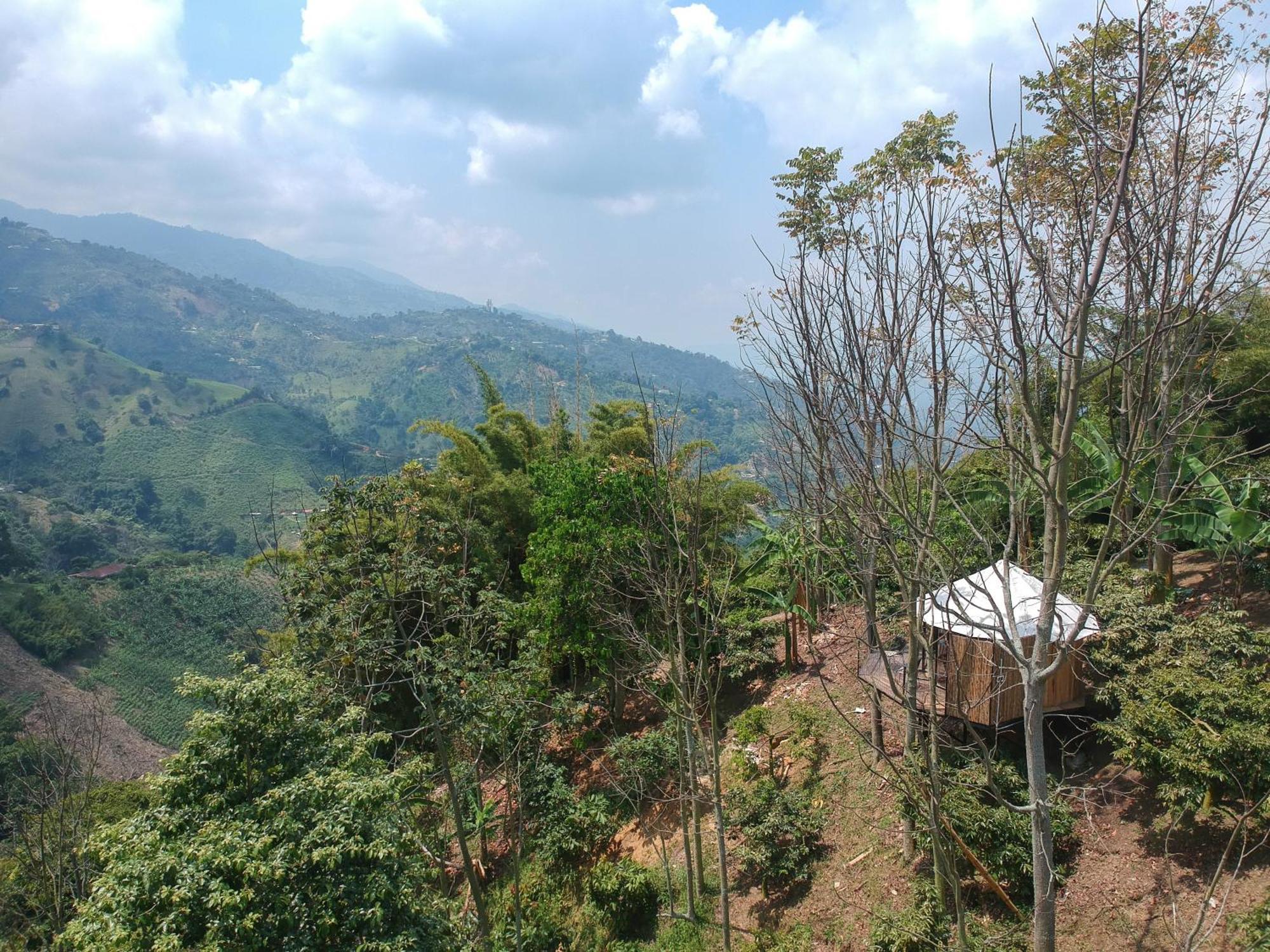 Luxury tent Paneo Glamping Floridablanca