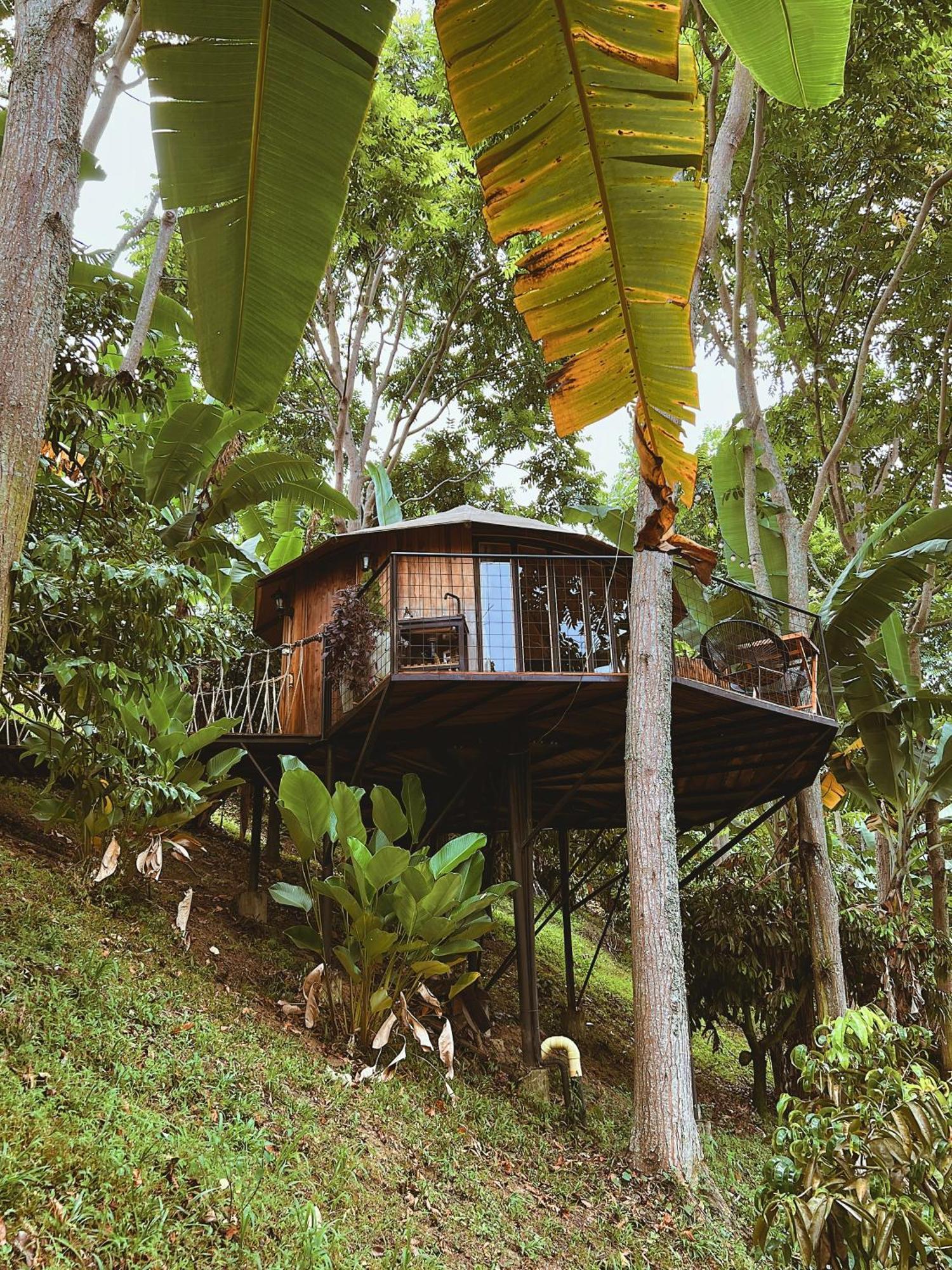 Paneo Glamping Luxury tent
