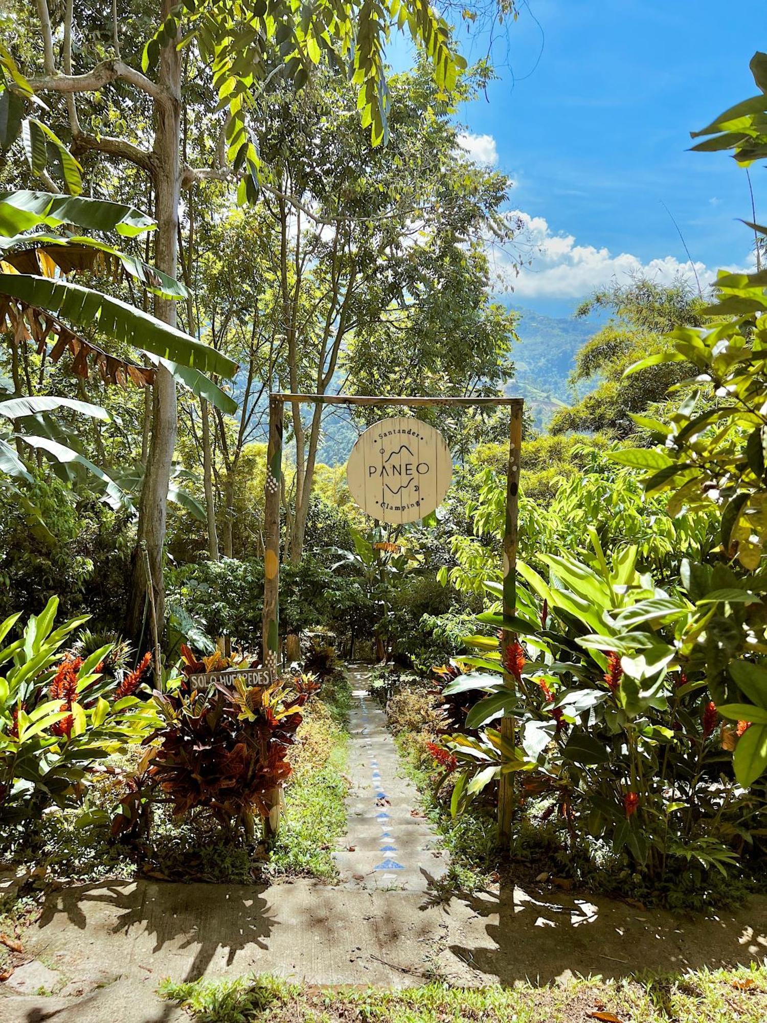 Paneo Glamping *